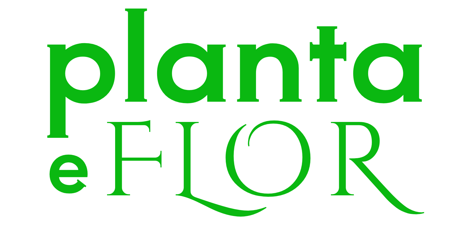 Planta e Flor